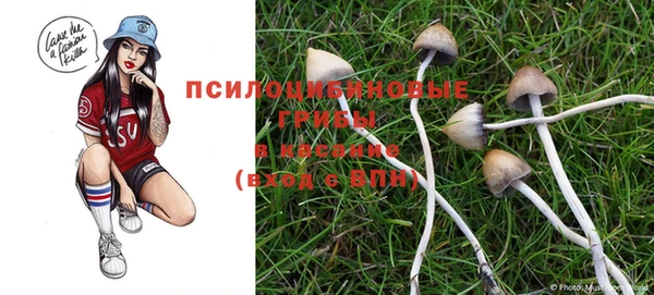 ешки Абдулино