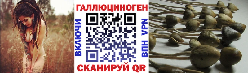 МЕГА ссылки  Ковдор  Галлюциногенные грибы Psilocybe 